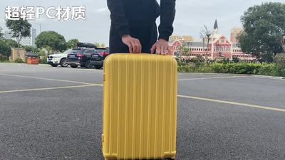 外贸出口超轻男女行李箱30寸20寸ins登机旅行箱贝壳防刮日本原单